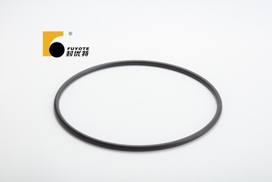 Differences-Between-Radial-Shaft-Seals-and-Floating-Seals-02.jpg