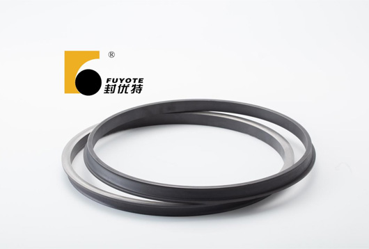 Differences-Between-Radial-Shaft-Seals-and-Floating-Seals-03.jpg