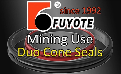 30 years floating seal manufacture